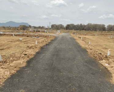 Project Images
