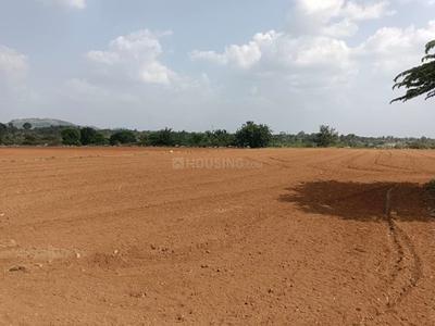 Gallery Cover Pic of Plot Wale Ulwe