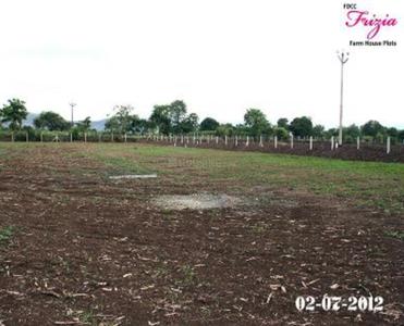 FDCC Frizia Main Other 2