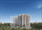Express Zenith Elevation 3