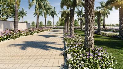 Project Image of 1200.0 - 4000.0 Sq.ft Residential Plot Plot for buy in Sammys Palm Hills
