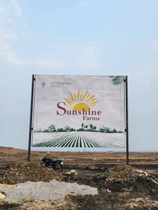 Project Image of 0.0 - 605.0 Sq.ft Residential Plot Plot for buy in Neemsboro Sunshine Farms Phase 1