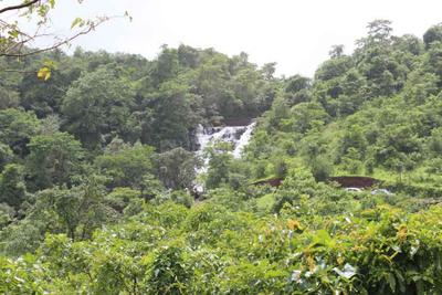 Project Image of 3000.0 - 4800.0 Sq.ft Residential Plot Plot for buy in Disha Bombay99
