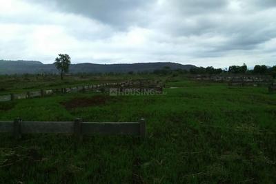 Project Image of 1000.0 - 3391.0 Sq.ft Residential Plot Plot for buy in Roha Mega City Phase II A B