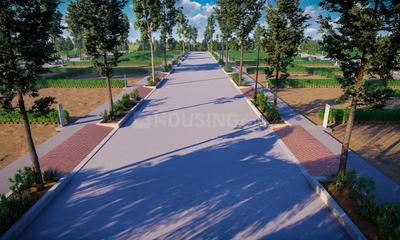 BVL Premio Phase 2 Internal Roads 4
