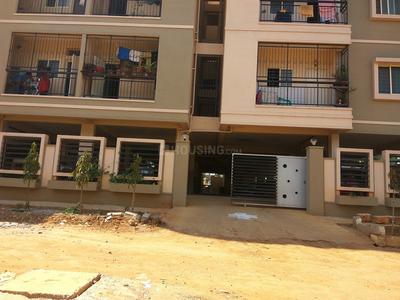 First Daisy Amenities 1