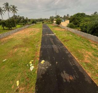 Project Image of 996.0 - 1310.0 Sq.ft Residential Plot Plot for buy in United India Avenue