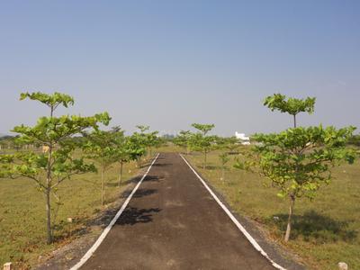 Project Image of 646.0 - 2400.0 Sq.ft Residential Plot Plot for buy in Ashok Brindavanam Phase II
