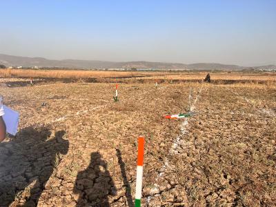 Project Image of 1000.0 - 5000.0 Sq.ft Residential Plot Plot for buy in Rama Naina TPS