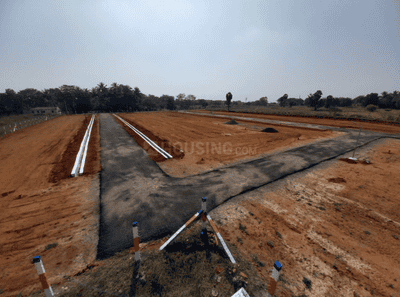 Project Images