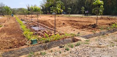 Project Image of 5990.0 - 16335.0 Sq.ft Residential Plot Plot for buy in Adithya DMR Farms