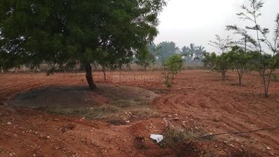 Project Image of 1099.96 - 1571.0 Sq.ft Residential Plot Plot for buy in Thamizhvanam KK Maestro