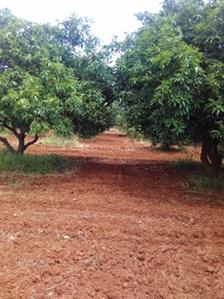 Samruddhi Kalpavruksha Images for Amenities of Samruddhi Kalpavruksha 1