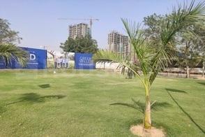 Gallery Cover Pic of Lion Green Valley