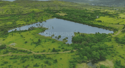 Project Image of 3715.59 - 6703.98 Sq.ft Residential Plot Plot for buy in Shapoorji Pallonji Treetopia Phase 5