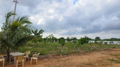 Project Image of 1089.0 - 5445.0 Sq.ft Residential Plot Plot for buy in Fortune Samskruthi Farms