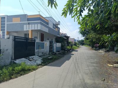 Guha Fantasy Elevation 2