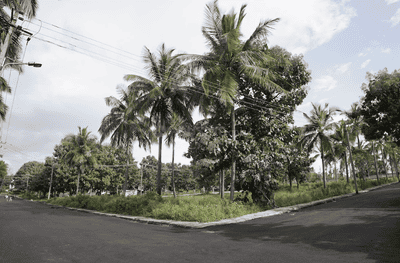 Project Image of 3000.0 - 4000.0 Sq.ft 4 BHK Villa for buy in NS Infocity