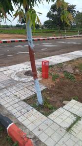 Project Image of 1503.0 - 2700.0 Sq.ft Residential Plot Plot for buy in Prathista Highway Paradise