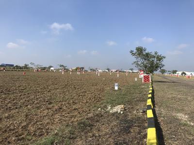 Project Image of 600.0 - 1167.0 Sq.ft Residential Plot Plot for buy in Grand JV Nagar