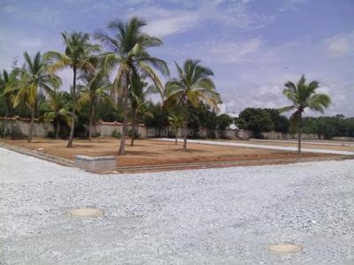 Project Image of 1200.0 - 2000.0 Sq.ft Residential Plot Plot for buy in S And S Sree Sai Aero City