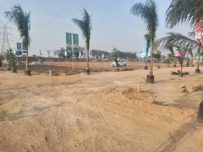 Virtusa Cynosure Plot 2