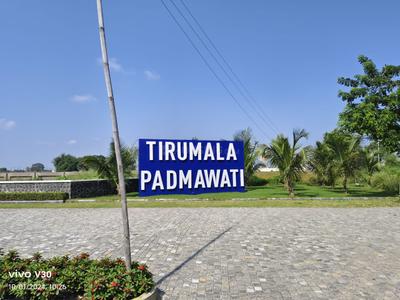 Project Image of 0.0 - 500.0 Sq.ft Residential Plot Plot for buy in Tirumala Padmawati