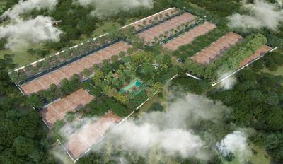 Project Images
