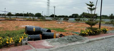 Project Image of 765.0 - 2000.0 Sq.ft Residential Plot Plot for buy in Amber County