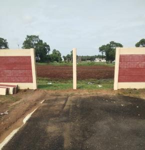T Rajendran Coco Village Extension Plot 1