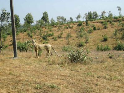 Project Image of 0.0 - 2200.0 Sq.ft Residential Plot Plot for buy in Disha Wellness City