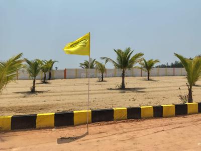 Project Image of 9600.0 - 13020.0 Sq.ft Residential Plot Plot for buy in Maruthi Sea View Farm Land