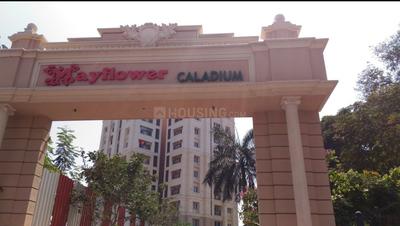 Project Image of 1448.0 - 1916.0 Sq.ft 2 BHK Apartment for buy in Mayflower Caladium