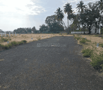 Project Images