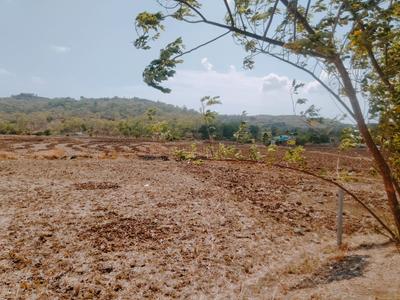 Plotwale Ranjanpada Plot 3