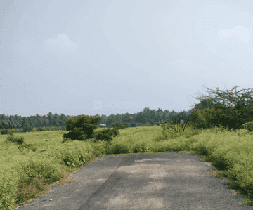 Project Images