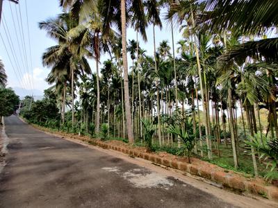 Project Image of 1000.0 - 5663.0 Sq.ft Residential Plot Plot for buy in ABI Maayya