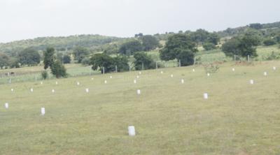 Project Image of 1197.0 - 4810.0 Sq.ft Residential Plot Plot for buy in Building True Greens