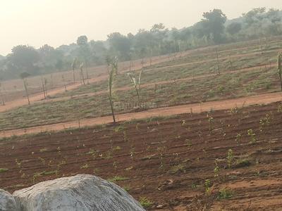 Project Image of 2178.0 - 4356.0 Sq.ft Residential Plot Plot for buy in RR Mega Siri Vanam