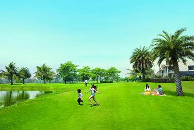 Project Image of 425.0 - 919.0 Sq.ft 1 BHK Apartment for buy in Lodha Codename Prime Square