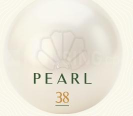Project Image of 2601.85 - 2608.85 Sq.ft 4 BHK Villa for buy in Pan Pearl 38