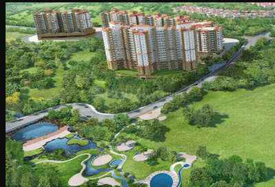 Paranjape Forest Trails Highgardens Elevation 4