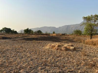 Project Image of 1000.0 - 10000.0 Sq.ft Residential Plot Plot for buy in Mahamum Plots In Harishchandra Pimple