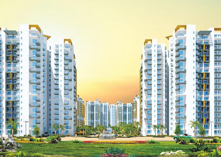 Sikka Karnam Greens - Image 3