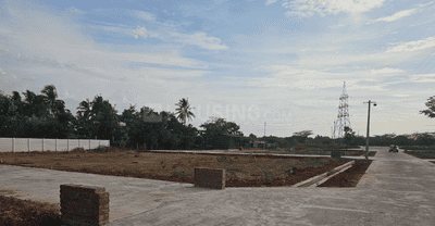 Project Images