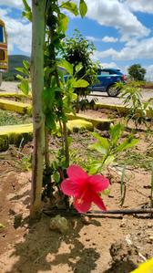 Project Image of 900.0 - 2700.0 Sq.ft Residential Plot Plot for buy in Prabha Resorts