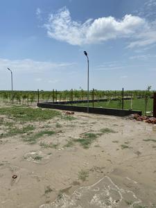 Project Image of 0.0 - 9072.0 Sq.ft Residential Plot Plot for buy in Golf View Farms