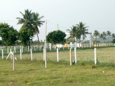 Project Image of 600.0 - 2000.0 Sq.ft Residential Plot Plot for buy in VGN Bloomingdale Phase 2