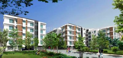 Project Image of 476.0 - 1220.0 Sq.ft 1 BHK Apartment for buy in Mohan Raga