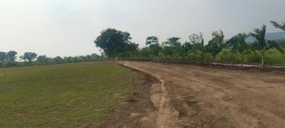 Project Image of 1944.0 - 7200.0 Sq.ft Residential Plot Plot for buy in Thanmai Equatorial